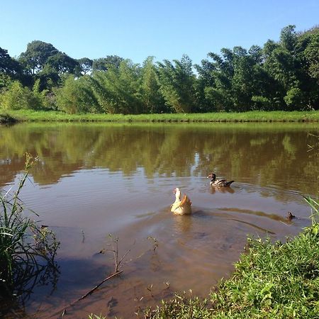 Aguas Vivas Hotel Fazenda Pirenópolis Dış mekan fotoğraf